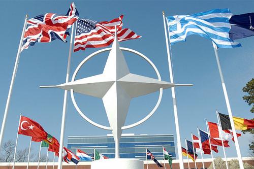 Чи варто вступати до НАТО? (відповіді черкащан)