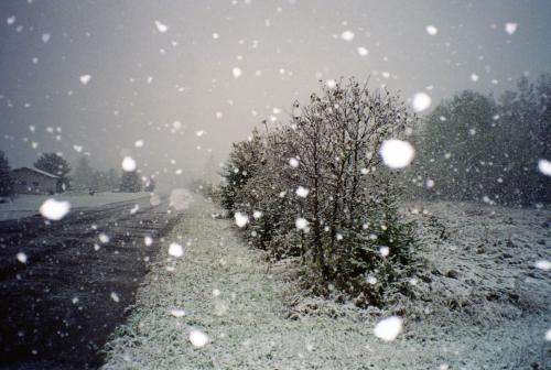 До кінця січня на Черкащині очікуються слабкі морози та невеликий сніг