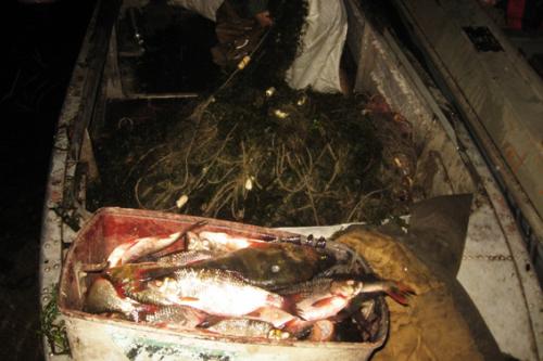 На Золотоніщині чоловіки наловили риби на сім тисяч гривень