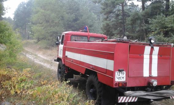 Рятувальники загасили пожежу у лісі на Канівщині