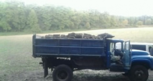 На Черкащині злочинці вантажівкою вивозили дерева (фото)