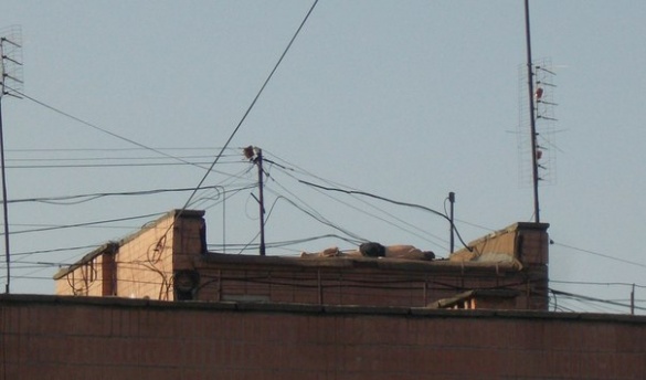Відпочинок у Черкасах: чоловік приліг позасмагати на даху (ФОТО)