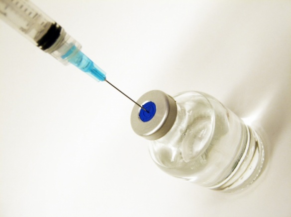 На Черкащині дефіцит вакцин від сказу (ВІДЕО)