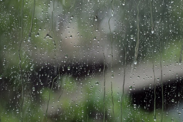 Дощі, тепло і тумани: погода на Черкащині буде мінливою