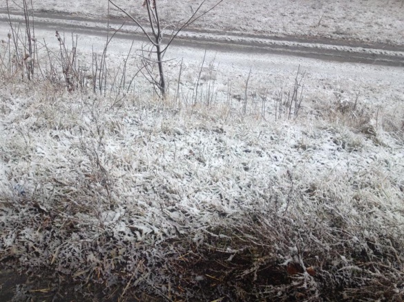 На Черкащині випав перший сніг (ФОТО)