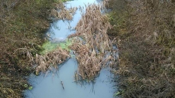 Через бюрократичні процедури на Черкащині можуть зникнути дві річки (ВІДЕО)