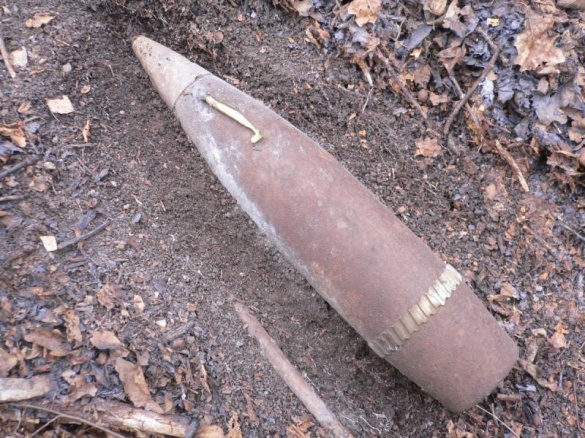 У лісі на Черкащині жителі знайшли снаряд часів війни