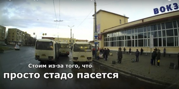 У Черкасах маршрутні автобуси заважають руху тролейбуса (ВІДЕО)