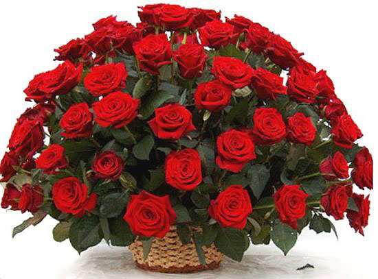 Cкільки до Дня Святого Валентина коштуватимуть квіти?