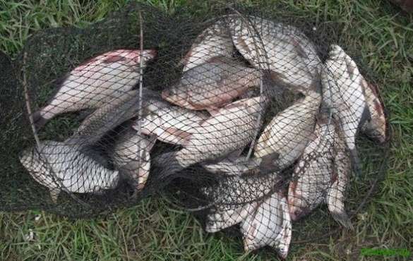На Черкащині затримали двох рибних браконьєрів