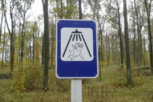 На Черкащині встановили креативний дорожний знак із поросям (ФОТО)