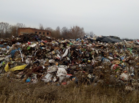 На Канівщині невідомі вивантажили близько 100 тонн львівського сміття