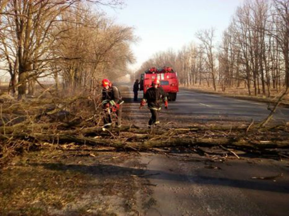 На Черкащині повалене вітром дерево перекрило частину дороги