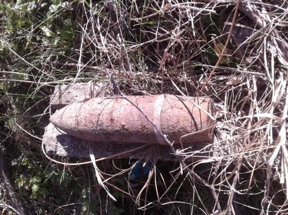 На Черкащині знову знайшли близько десятка боєприпасів