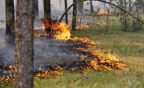 На Черкащині утримується надзвичайна пожежна небезпека