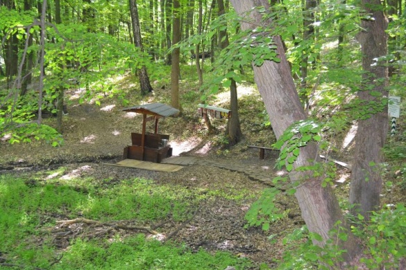 На Черкащині лісівники опікуються криницею, що має тисячолітню історію (ФОТО)