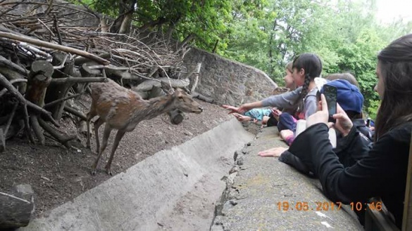 Черкаські школярі ходять на уроки до зоопарку
