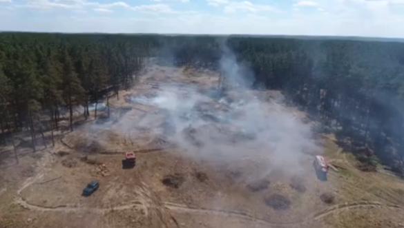 На Черкащині рятувальники загасили лісову пожежу