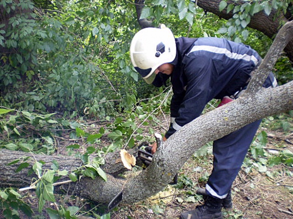 На Черкащині рятувальники тричі звільняли дороги від повалених дерев