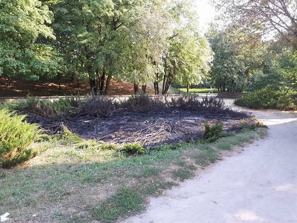 В одному із черкаських парків побували вандали (ФОТО)