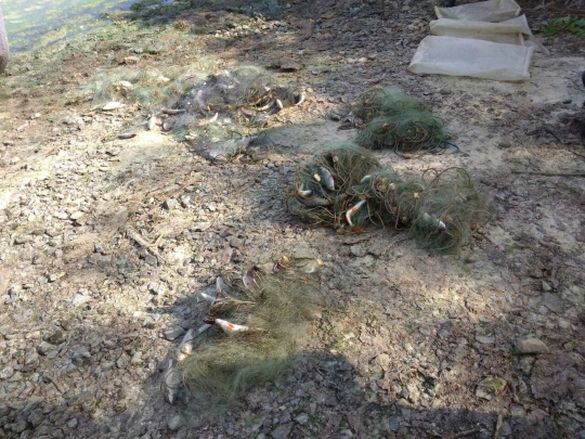 На Черкащині затримали двох бракон’єрів