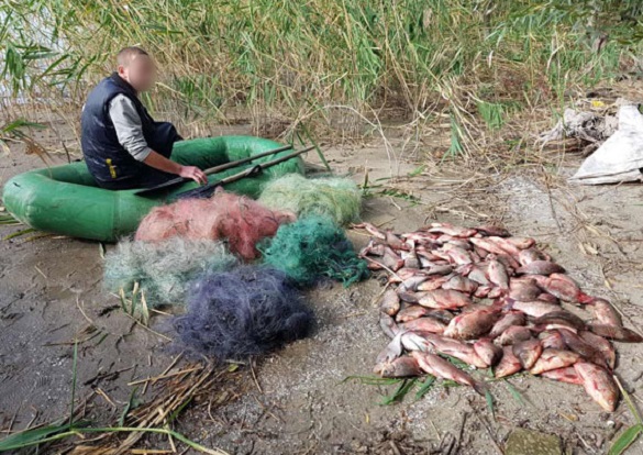 Браконьєр з Черкащини незаконно виловив риби на 10 тис. грн