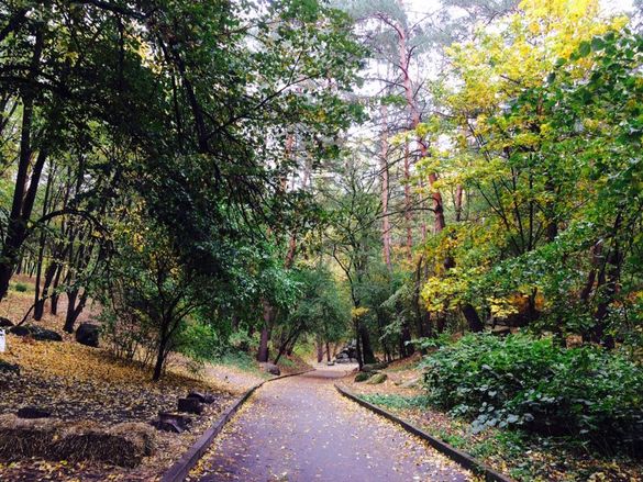 Золоте листя, шум дерев, чисте повітря: 10 крутих осінніх фото із черкаського парку