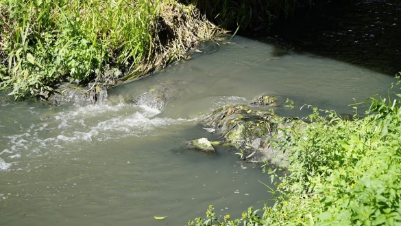 Екологічна катастрофа загрожує жителям та річкам Золотоніщини