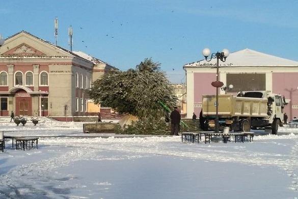 У Черкаській області сильний вітер зламав новорічну ялинку (ФОТО)
