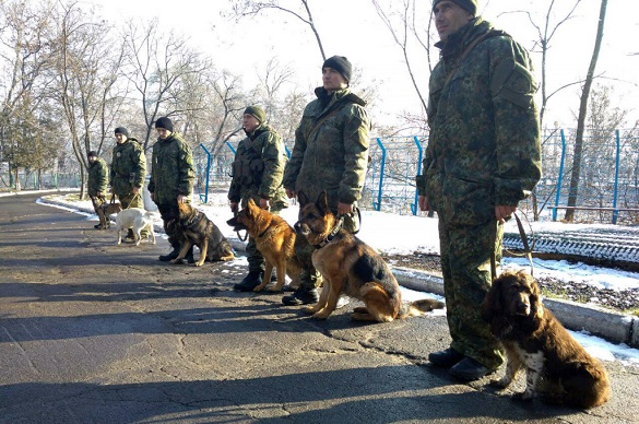 Чотирилапі охоронці з Черкащини стоятимуть на варті безпеки жителів Донеччини під час новорічних свят