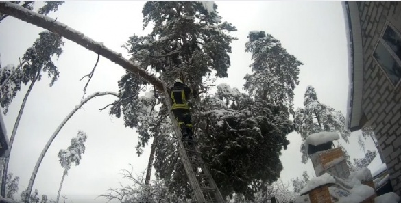 На житловий будинок у Черкасах впало дерево (ВІДЕО)