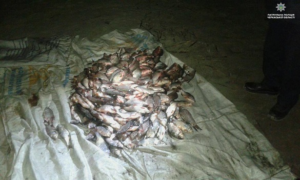 Великий улов: на Черкащині браконьєри наловили риби майже на сто тисяч (ФОТО)