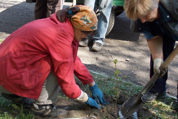 В одному з черкаських парків висадили молоді дерева (ФОТО)