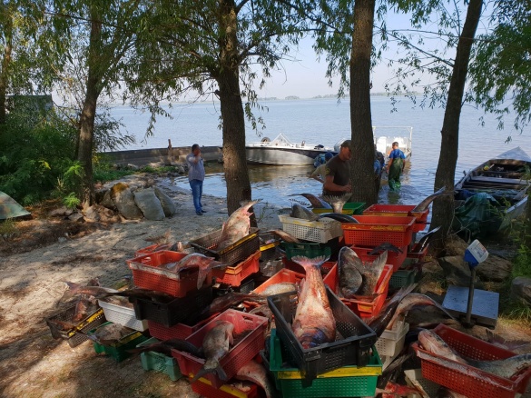 На Черкащині горе рибаки заплатять 50 тисяч гривень штрафу