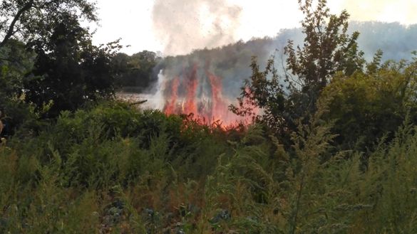 Через охоплену вогнем траву міг згоріти будинок на Черкащині (ВІДЕО)
