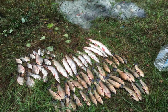 На Черкащині спіймали браконьєрів з уловом на вісім тисяч гривень (ФОТО)
