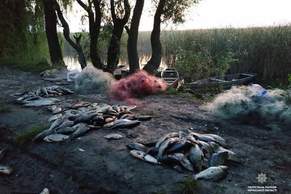За один день черкаські браконьєри виловили риби на понад 30 тисяч гривень (ФОТО)
