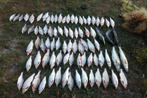 На Черкащині браконьєр наловив риби на майже 10 тисяч гривень (ФОТО)