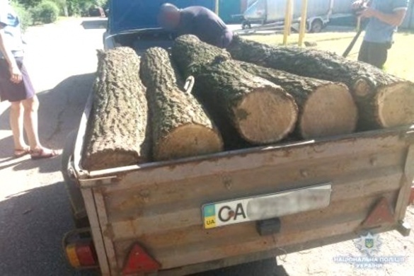 На Черкащині спіймали чоловіків із причепом незаконно зрубаної деревини
