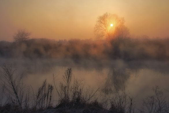 Тумани й похолодання: синоптики розповіли про найближчу погоду на Черкащині