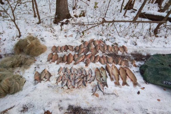 За два дні браконьєри впіймали півсотні кілограмів риби на водоймах Черкащини (ФОТО)