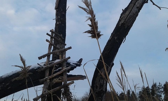 На Черкащині екологи демонтували браконьєрські вежі