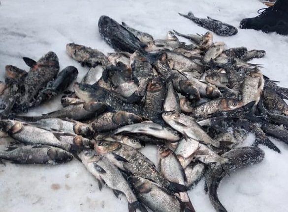 На Черкащині затримали двох горе-рибалок (ФОТО)