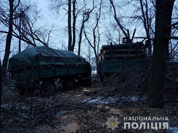 У Черкаській області виявили незаконну порубку лісу (ФОТО)