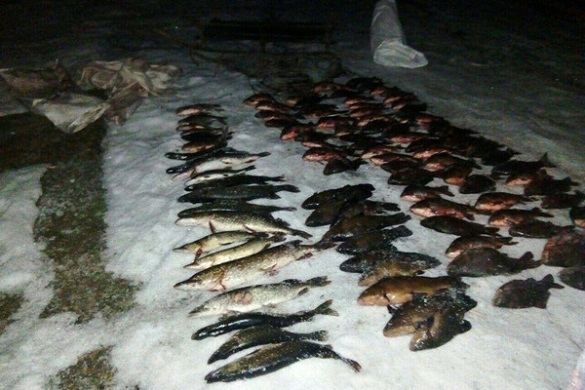 На Черкащині браконьєри наловили риби на майже 8 тисяч гривень