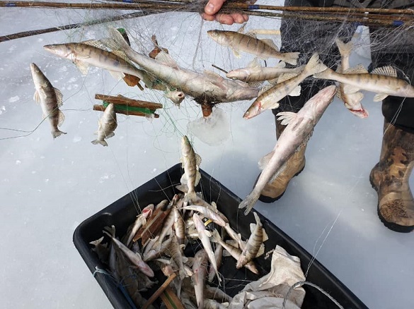 Рибні браконьєри на Черкащині завдали збитків на 74 000 гривень (ФОТО)
