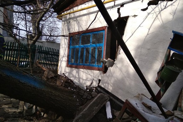 На Черкащині ялина повністю зруйнувала будівлю (ФОТО)