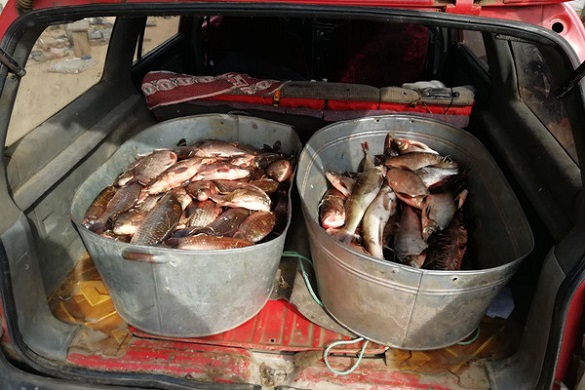 На Черкащині чоловік незаконно наловив риби на майже дев'ять тисяч гривень