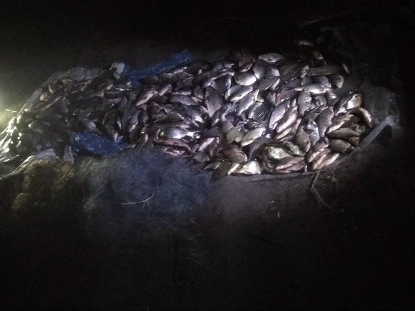 На Черкащині браконьєри наловили риби на майже 40 тисяч гривень