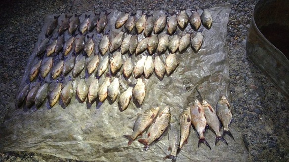 На Черкащині браконьєри наловили риби на майже 5 тисяч гривень
